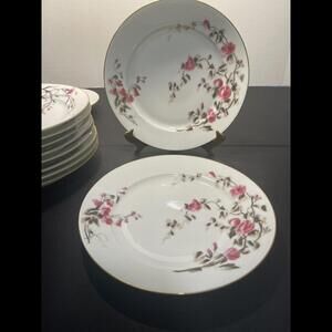 CH Fields Haviland Limoges Antique 1880 To 1900 10 Flower Dinner Plates